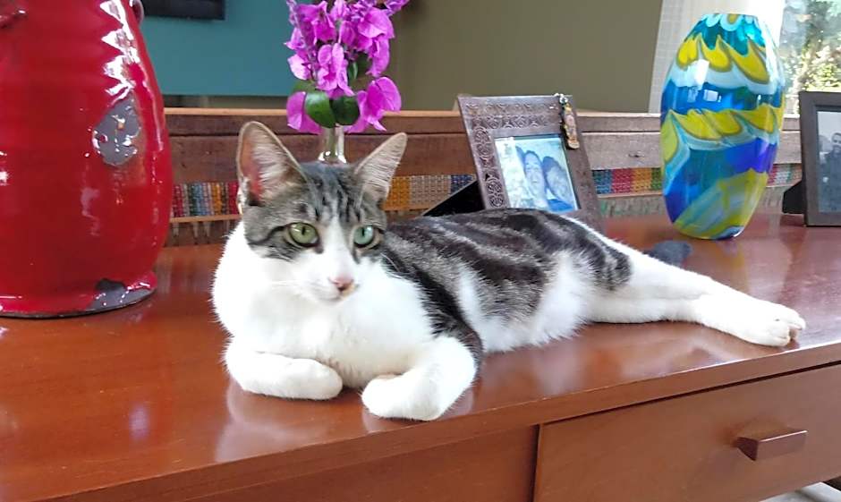 Vilarejo Guesthouse - Silêncio e Aconchego