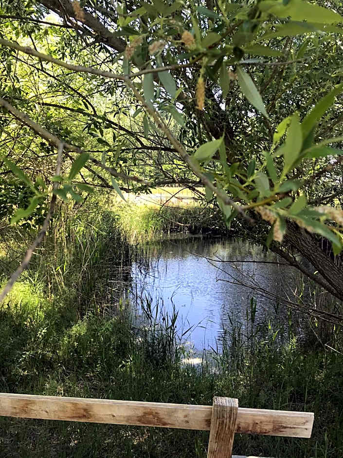 Tornácos Tanya Vendégház*** és Gasztroporta