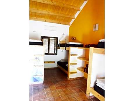 Bed in 6-Bed Dormitory Room