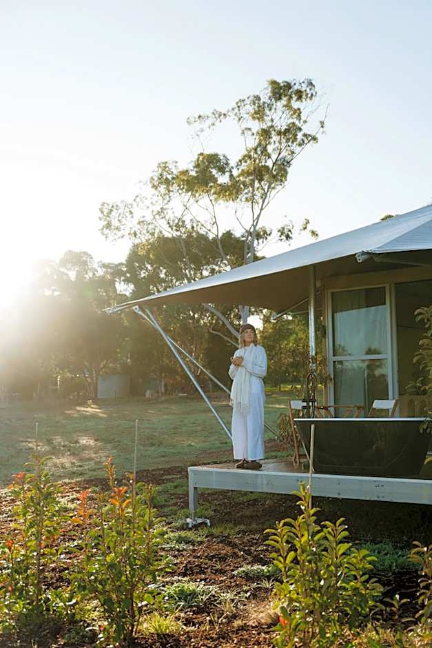 CANVS by CABN Seppeltsfield Barossa