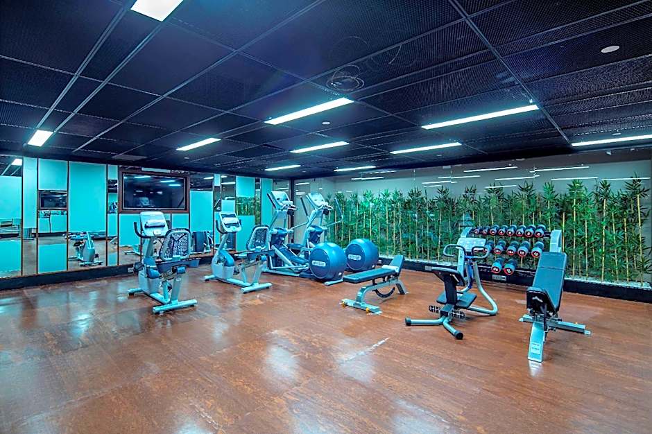 Hilton Garden Inn Istanbul Airport