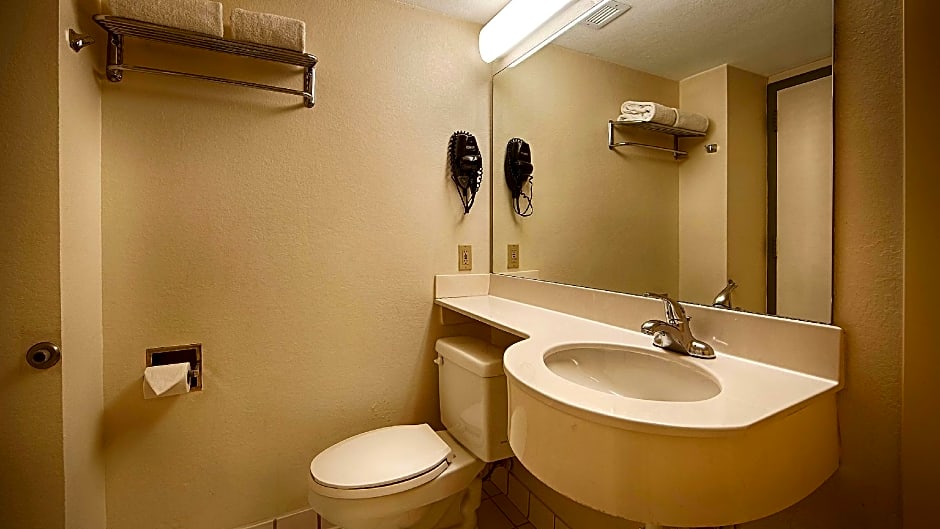 Surestay Plus Ht By Best Western Houston Medical C