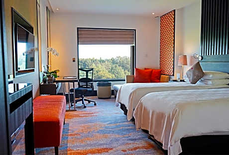 Premier Twin Room