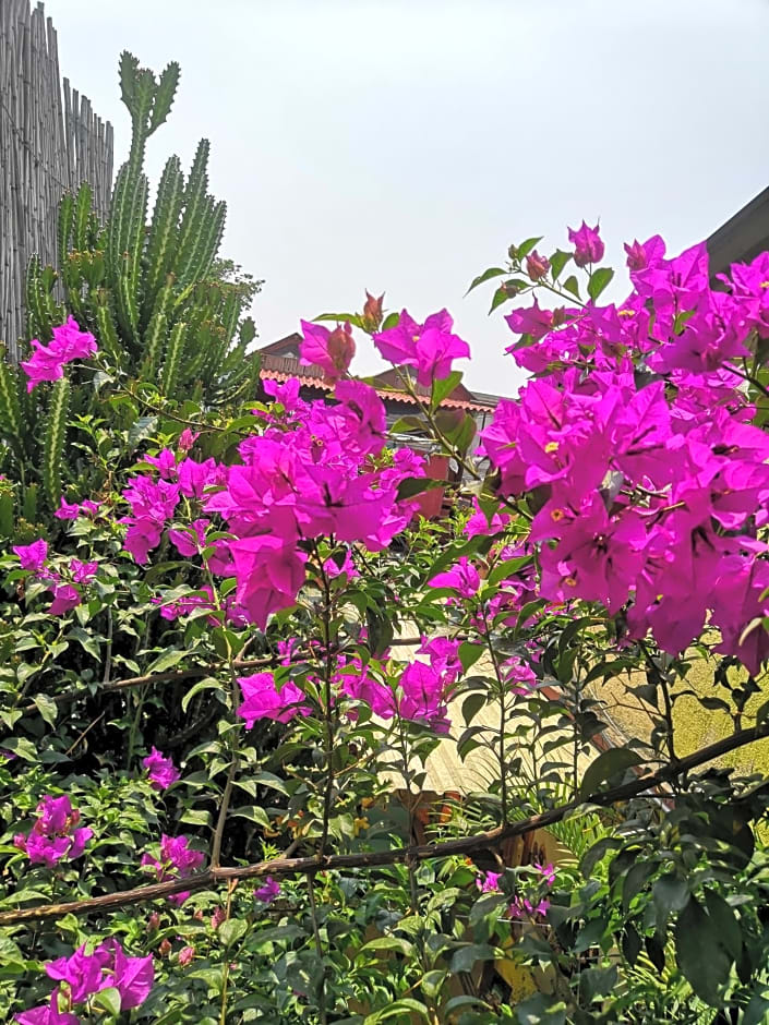 Hostal Oaxaca Magic