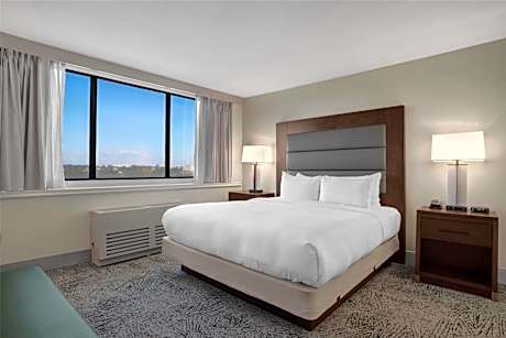 Junior King Suite with Sofa Bed