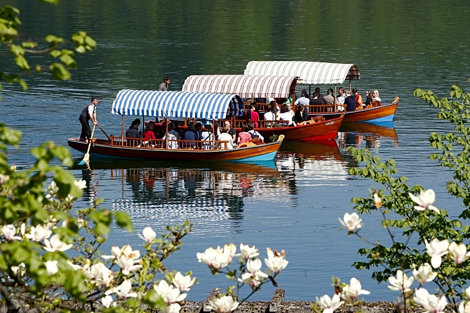 Apartmaji Rose in Winter