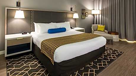 1 Bed Suite