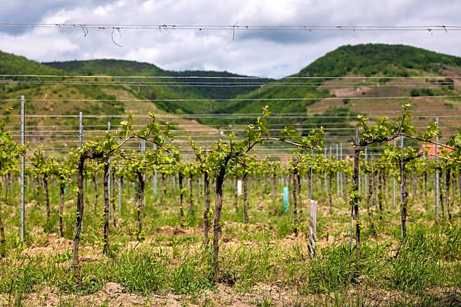Tschardakenhof Appartements