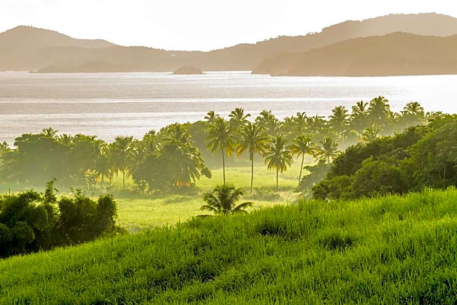 Le Domaine Saint Aubin