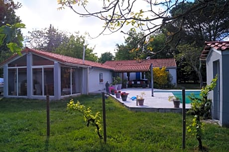 Les Agapanthes du frontonnais