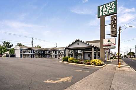 Pine Tree inn