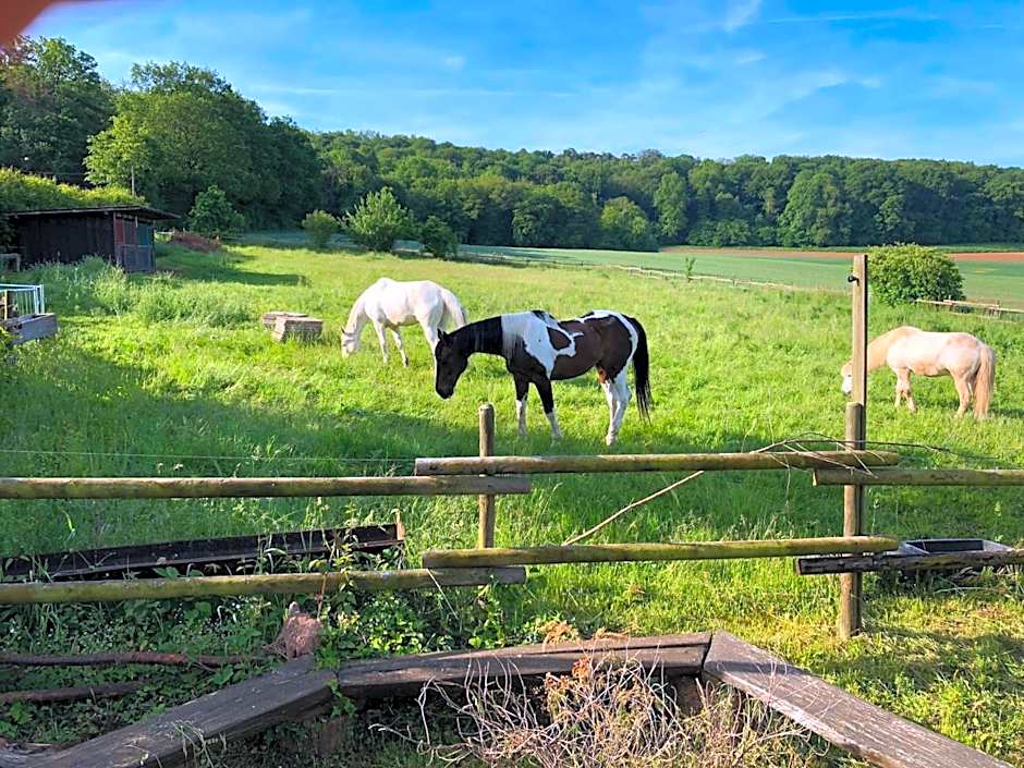 Landhaus vor Burg Eltz