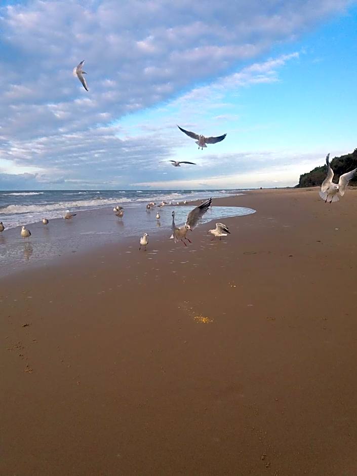 Interferie Cechsztyn