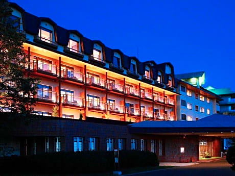 Tokachigawa Onsen Daiichi Hotel