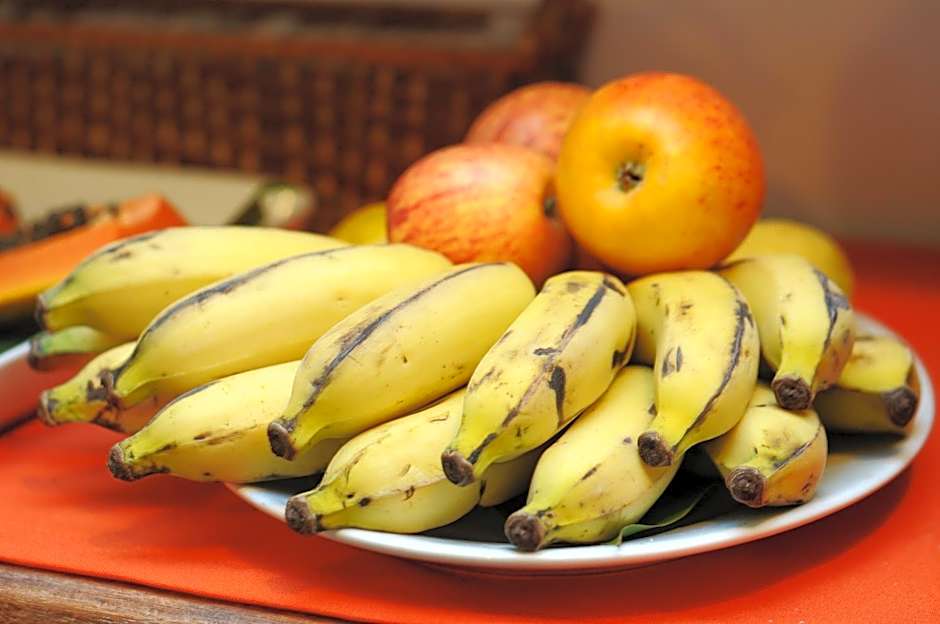 Pousada Canto do Rio