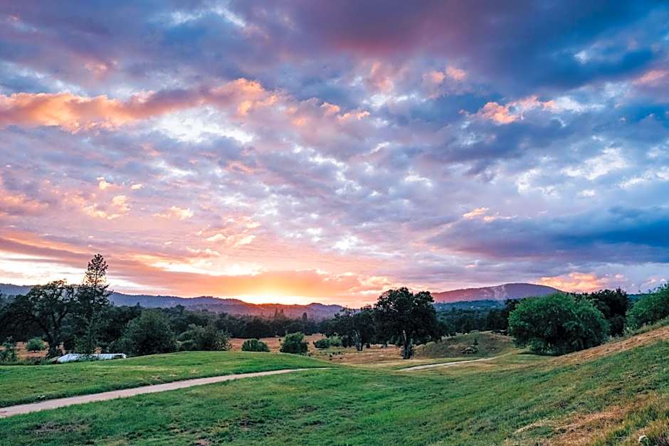 Sierra Meadows