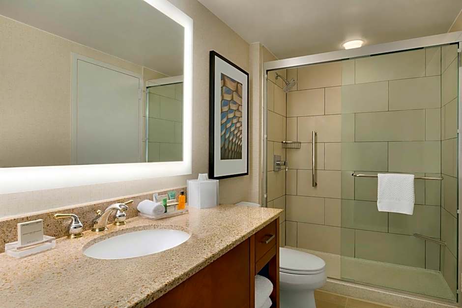 Hilton Chicago/Magnificent Mile Suites