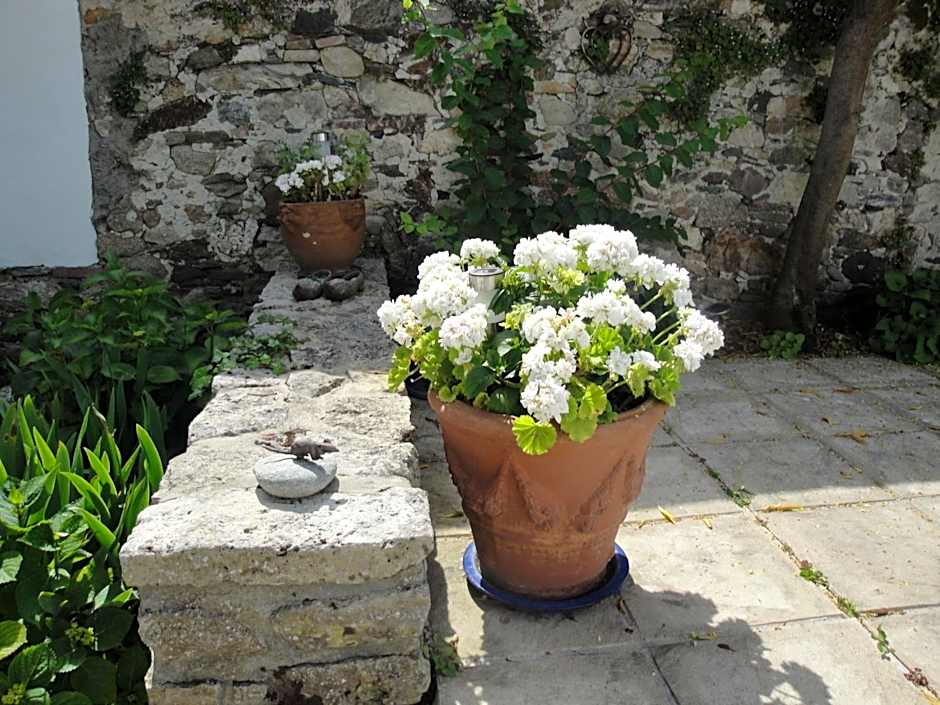 Le Buzet Bleu Bed & Breakfast