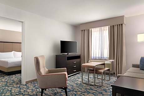 One-Bedroom King Suite - Non-Smoking