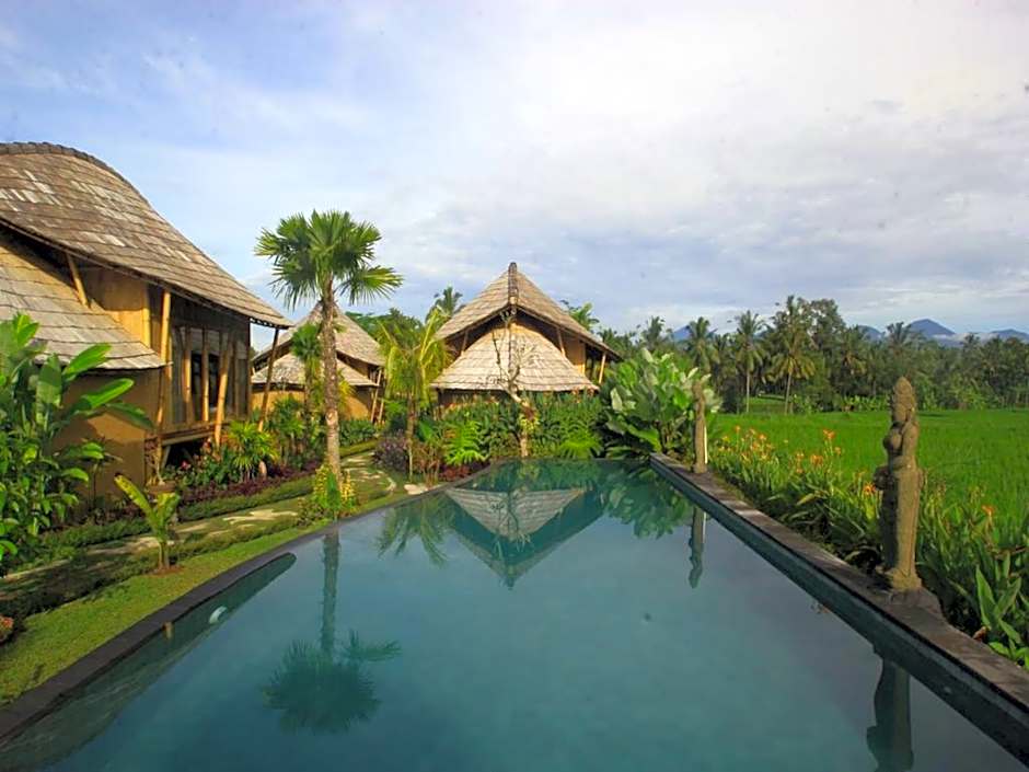 Padi Bali Eco Villas