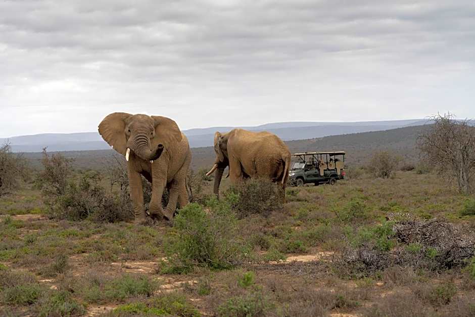 Kuzuko Lodge