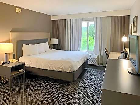 1 King Bed, Nonsmoking