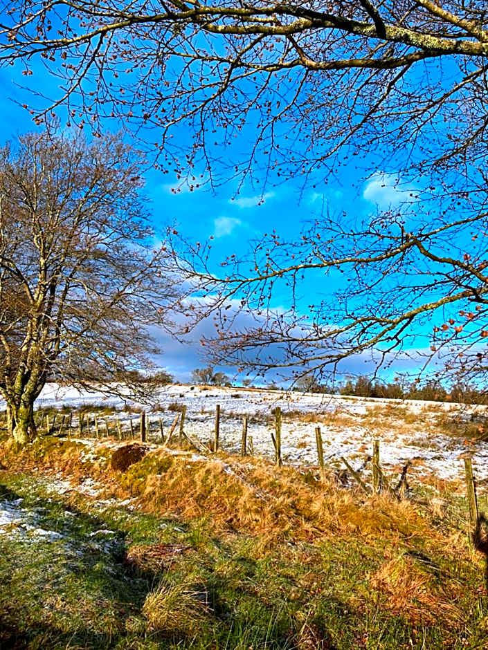 Stoneymollan over Loch Lomond