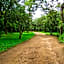 Woodlands Lilongwe