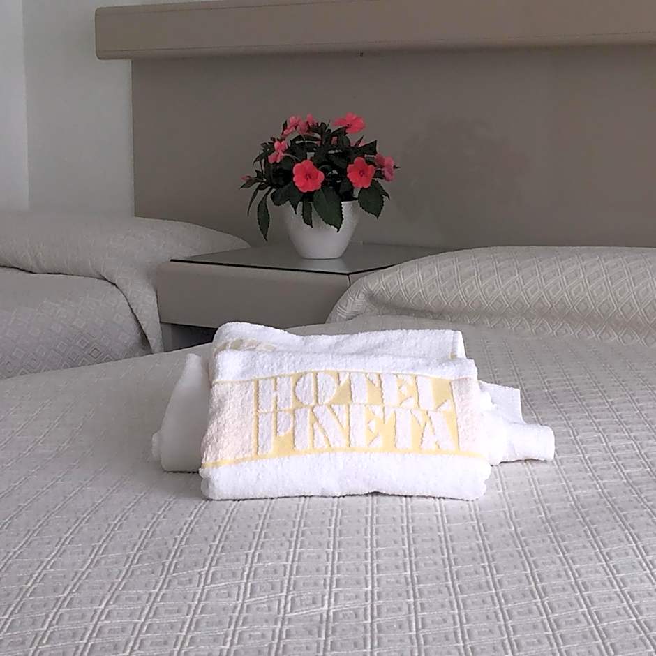 Hotel Pineta