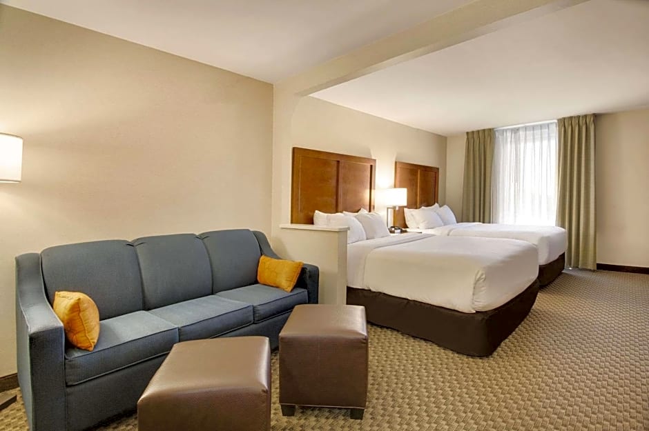 Comfort Inn Airport Roanoke