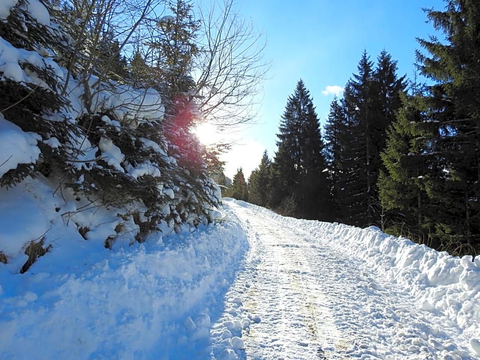 Biobauernhof Spieszschweiger