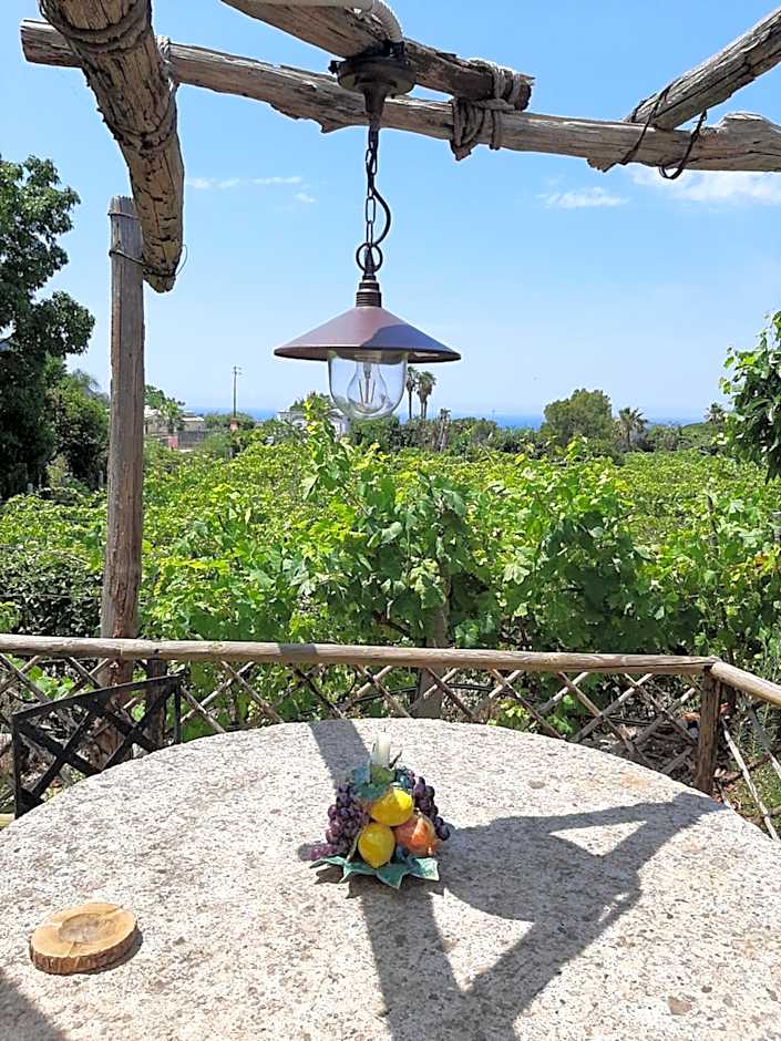 Il Vitigno di Dioniso