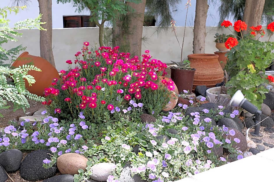 SPIROS & HIROKO Hotel - ADULTS ONLY