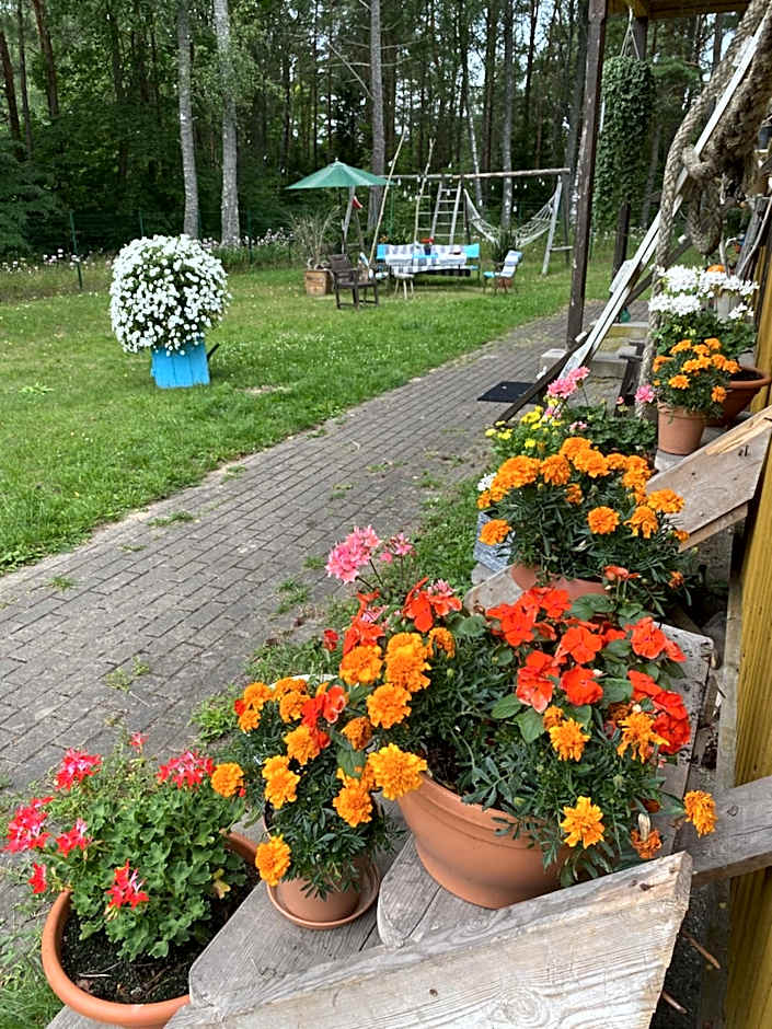 Torgu Royal Guesthouse