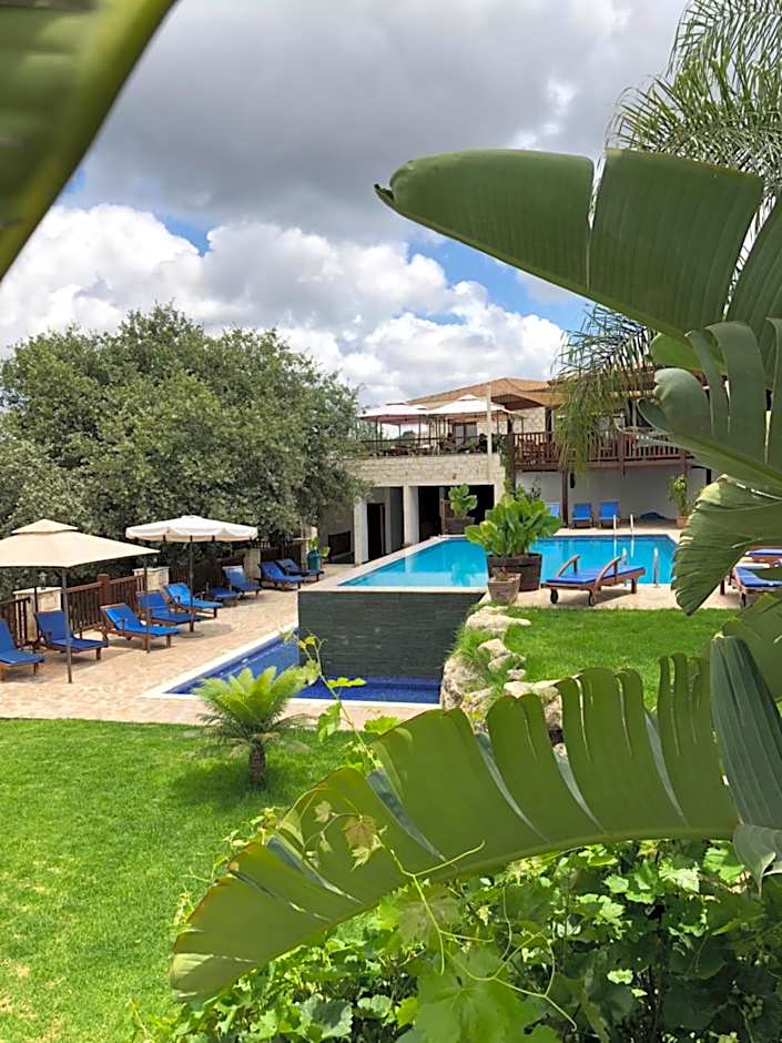 Demetriou Paradisos Hills Hotel