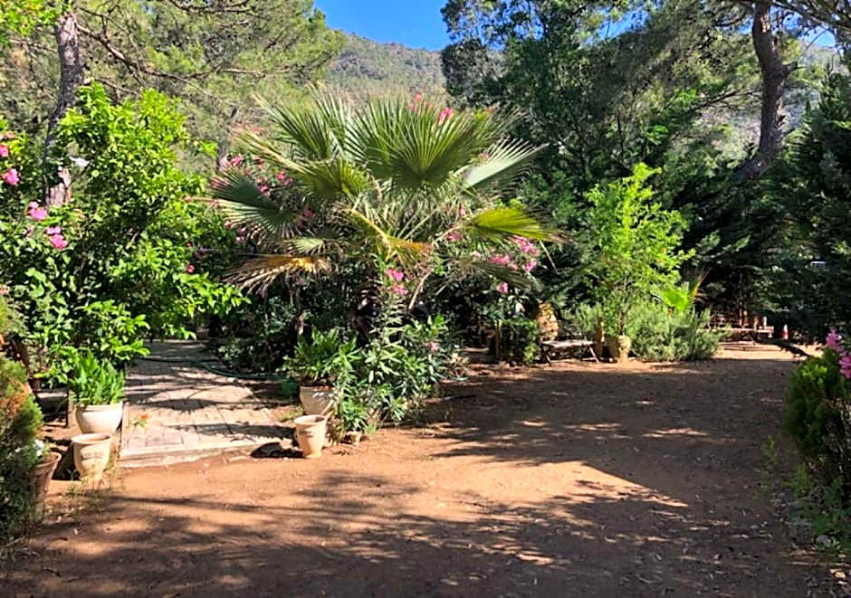 Adrasan Şekerbahçe Otel