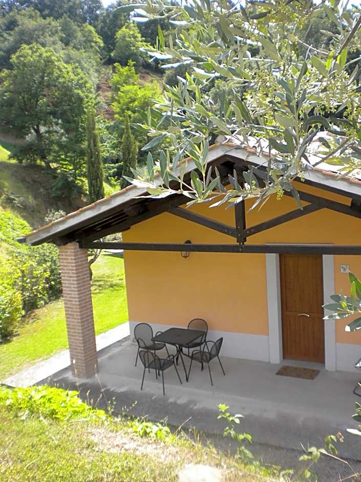 Il Poggio degli Olivi