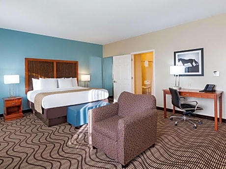 Deluxe King Room with Roll In Shower - Mobility/Hearing Accessible - Non-Smoking