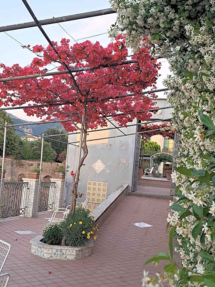 Domus San Vincenzo