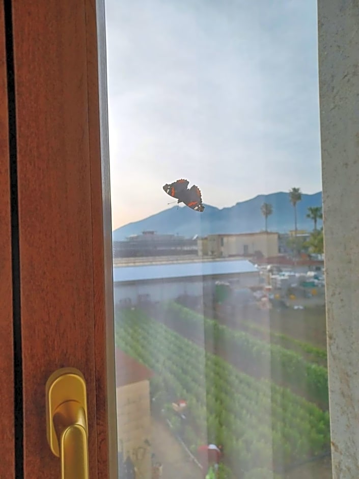 B&B Domus In Fonte – Scafati, UT