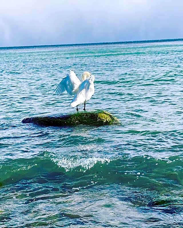 Gästehaus Windflüchter