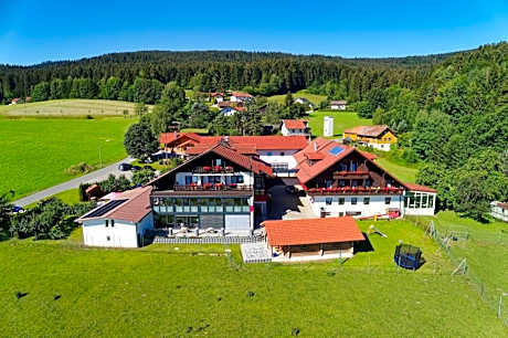 Hotel Hirschenstein