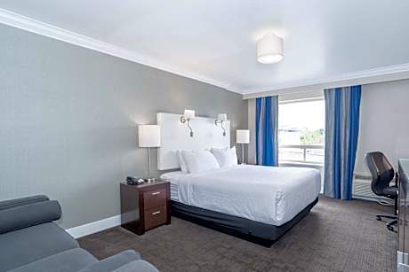 Standard Room, 1 King Bed