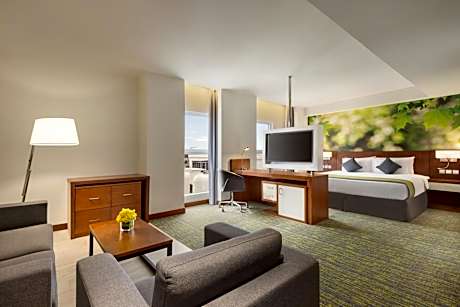 Executive 1 King Bed Non Smoking