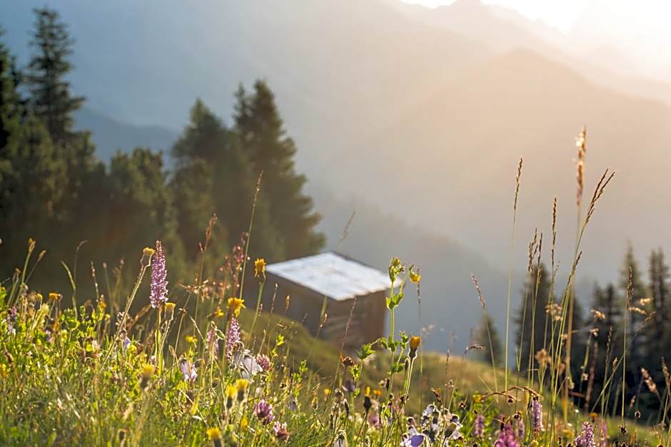 Rosa Canina Superior