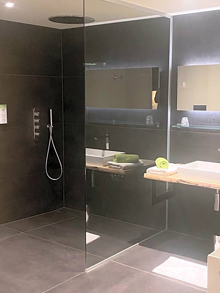 Hôtel WELLNESS EAU DE ROCHE Durbuy