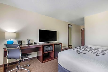 King Room - Non-Smoking