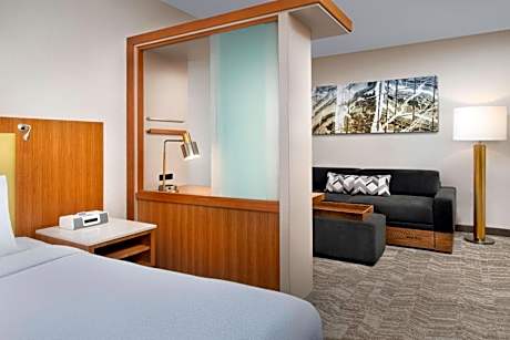 SpringHill Suites by Marriott Potomac Mills Woodbridge