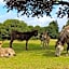 Premium Holiday Home in The New Forest at Hoburne Bashley - Leisure Passes Available to Purchase