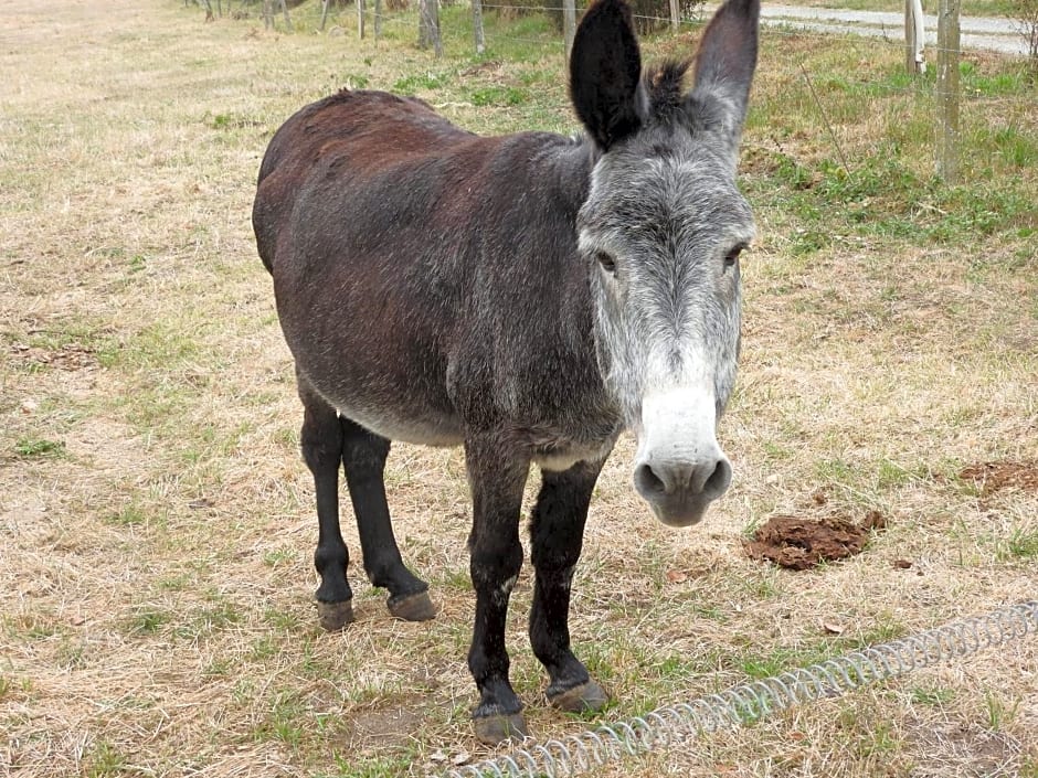 Domaine de Laverchère